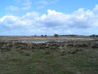 Klik op de foto voor groter formaat